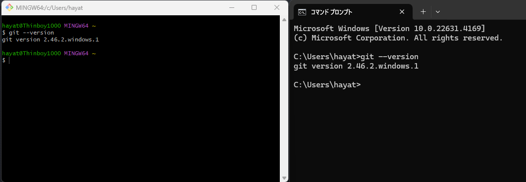 Visual Studio CodeでGitのバージョンが確認できずエラー表示になる
